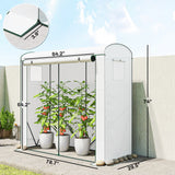 78.7" x 29.5" x 74" Mini Greenhouse, White