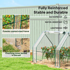 Mini Greenhouse with Zippered Doors & Roll-up Windows,