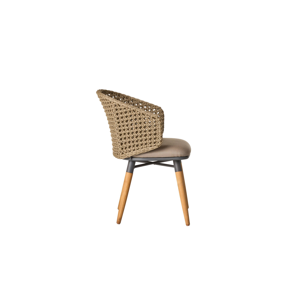 Capistrano Dining Chair