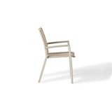 Diablo Dining Arm Chair in Dune