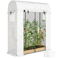 6' x 2' x 6.6' Mini Greenhouse with Roll-up Door, White