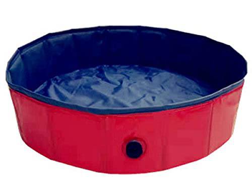 Family Swim Center Pool for Kids & Pets - 160 x 30cm, Blue