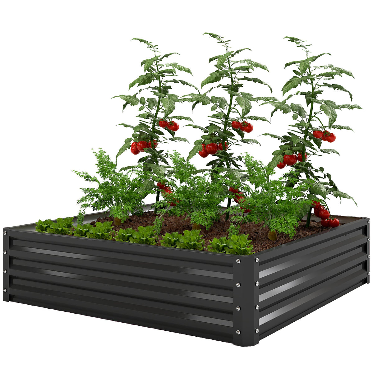4' x 4' x 1' Galvanized Raised Garden Bed for Vegetables, Black