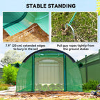 10' x 13' x 6.5' Walk-in Tunnel Greenhouse with 2 Doors, Green