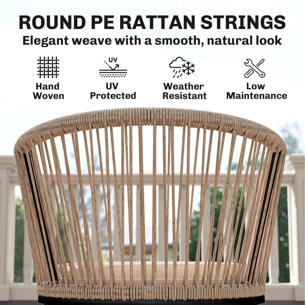 Set of 2 Rattan Dining Chairs with Cushions, Metal Frame, String Back & Armrests