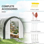 10' x 6.6' x 6.6' Walk-in Tunnel Greenhouse with 6 Windows, White
