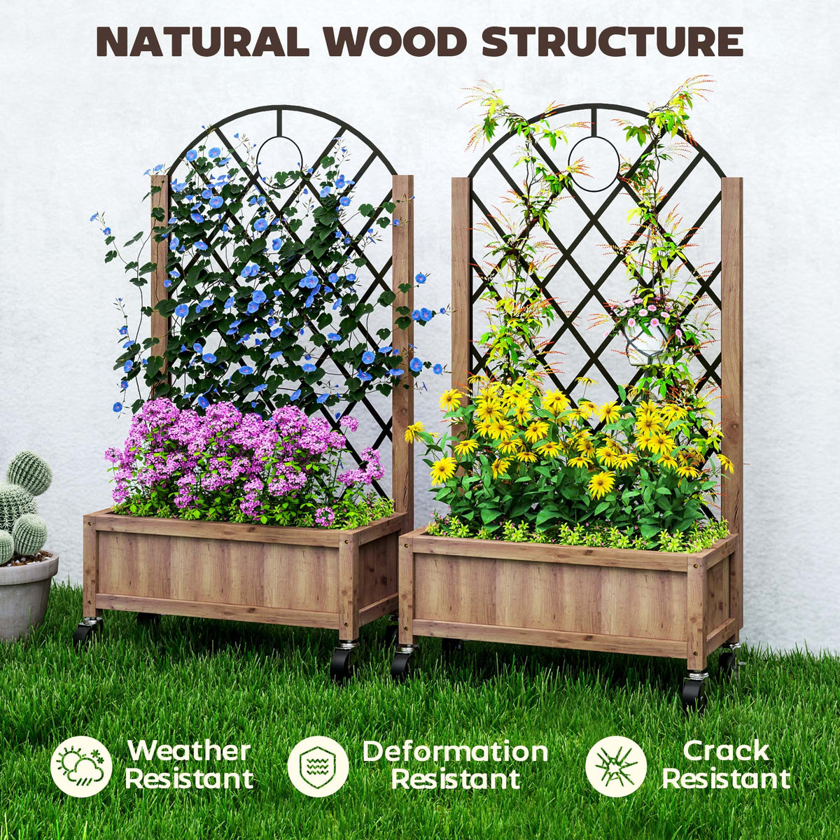 2 Pack Raised Garden Beds with Metal Trellis, Wheels and Drainage, Brown
