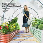 3 x 2 x 2 m Polytunnel Greenhouse with Roll-up Door, Clear