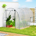 3 x 2 x 2 m Polytunnel Greenhouse with Roll-up Door, Clear