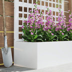 43" x 16" x 70" Raised Garden Bed with Trellis and Privacy Screen, White