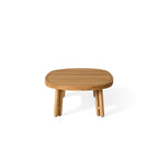 Ojai Coffee Table in Teak