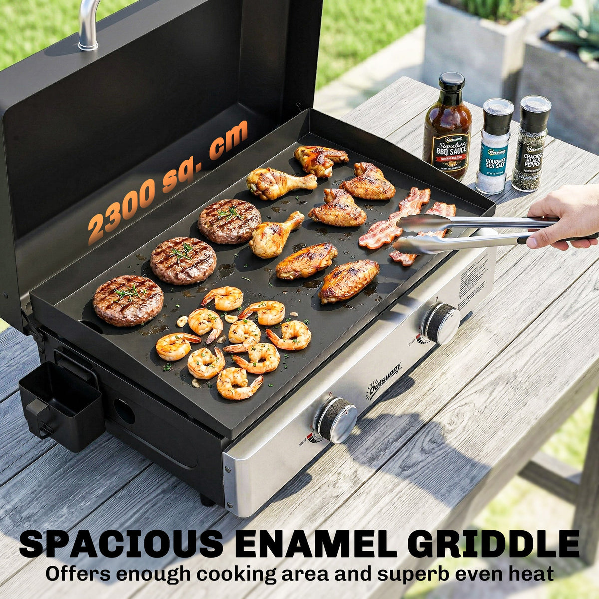 2-Burner Portable 6 kW Gas Plancha Tabletop Griddle with Grease Cup for Camping, Black