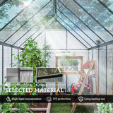 11' x 6' Polycarbonate Walk-in Greenhouse, Black