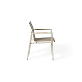 Pasadena Dining Arm Chair in Dune Aluminum