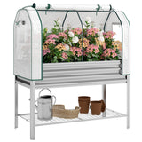 Galvanized Raised Garden Bed with Greenhouse Cover, Silver
