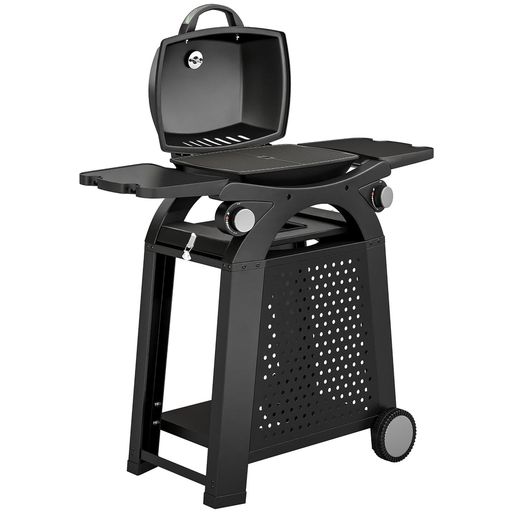 2 Burner Gas Grill with Wheels, Side Tables and Cast Iron Grates, Black