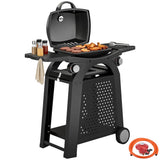 2 Burner Gas Grill with Wheels, Side Tables and Cast Iron Grates, Black