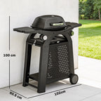 2 Burner Gas Grill with Wheels, Side Tables and Cast Iron Grates, Black