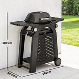 2 Burner Gas Grill with Wheels, Side Tables and Cast Iron Grates, Black
