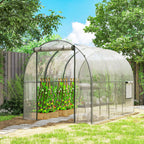 3 x 2 x 2 m Polytunnel Greenhouse with Roll-up Door, Clear