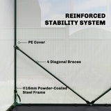 63" x 63" x 78.7" Mini Walk-in Greenhouse with PE Cover, Roll-up Door & 3 Mesh Windows, White