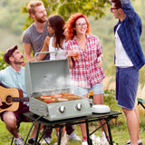 2 Burner Portable Propane Gas Grill with Foldable Legs, Silver