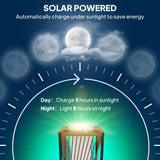 77 cm Solar Rattan Floor Lamp with Auto On/Off LED, Sand Brown
