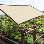 2 x 3 m Sun Shade Sail in Beige with Steel Eyelets & Bungee Cords, UV Protection